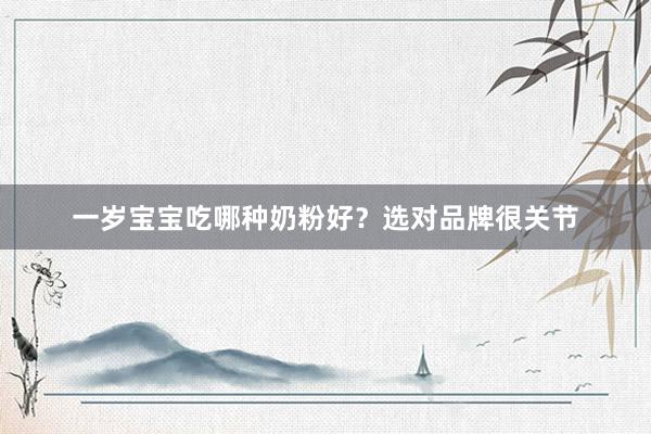 一岁宝宝吃哪种奶粉好？选对品牌很关节