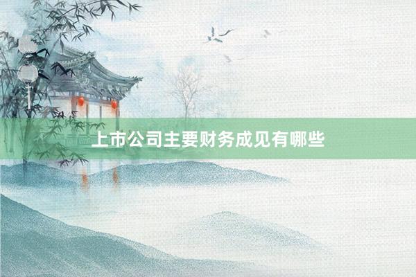 上市公司主要财务成见有哪些
