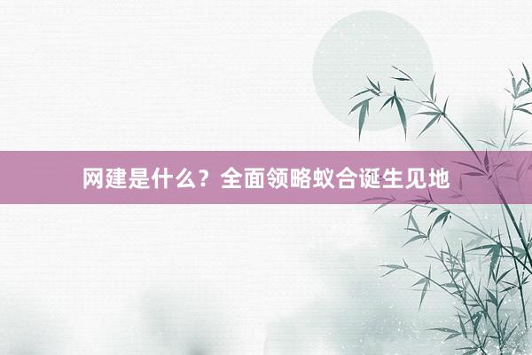 网建是什么？全面领略蚁合诞生见地