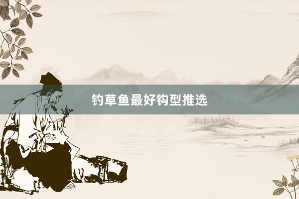 钓草鱼最好钩型推选
