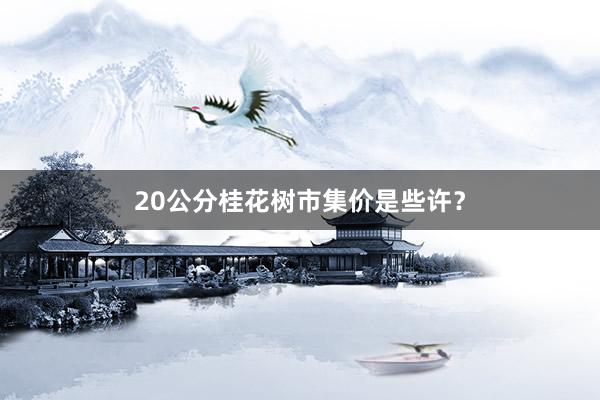 20公分桂花树市集价是些许？