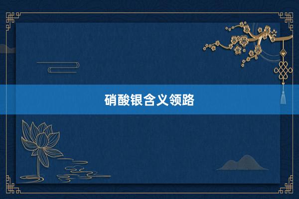 硝酸银含义领路
